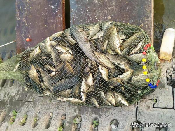 “偽”釣魚大師成長史，裝著裝著就真把自己當大師了，專門騙小孩