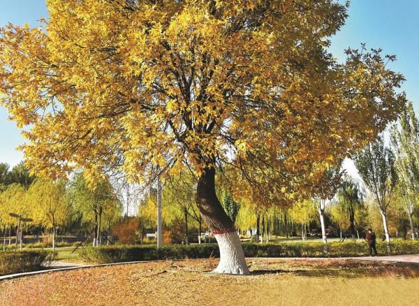 迷人的城市色彩