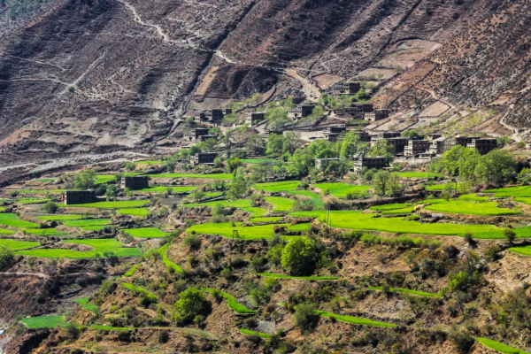 走完這條路，我和陌生人成為了親兄弟