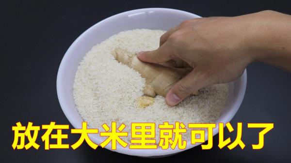 家裡的大米長蟲子怎樣處理？好多人不懂，漲知識