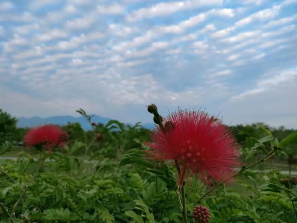 朋友圈2021年第31期