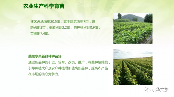 現代農業產業園總體規劃及效益分析方案（附下載）