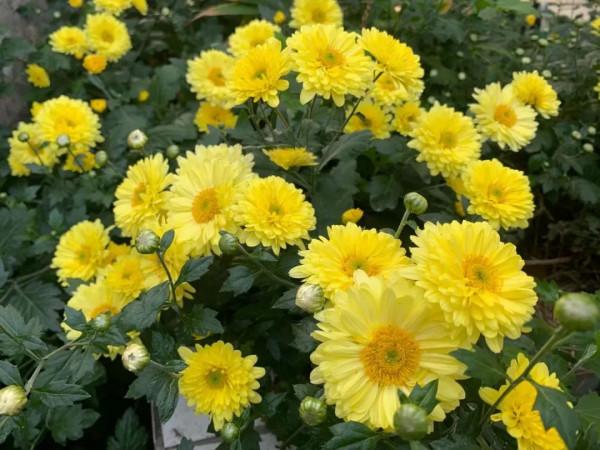 朋友圈2021年第31期