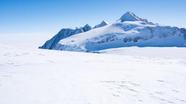 南極發生疫情的情況下，科學家們發現了新的生命物種，生命的起源