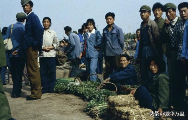 遼寧省的營口市，14個市之一，為何下轄了6個區和縣？