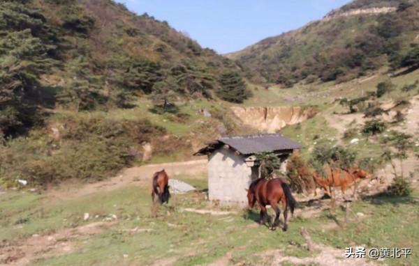 重慶有一條修建在山脊上的刀片天路，自駕愛好者何不來試試手腳