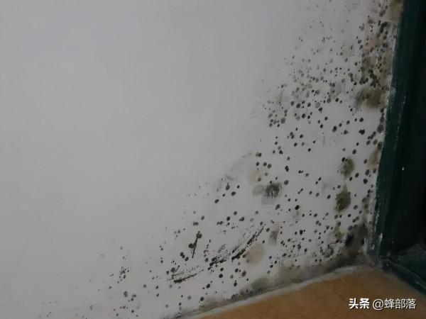 農村自建房牆體為啥會起皮掉落？如何避免和解決，2個解決方法
