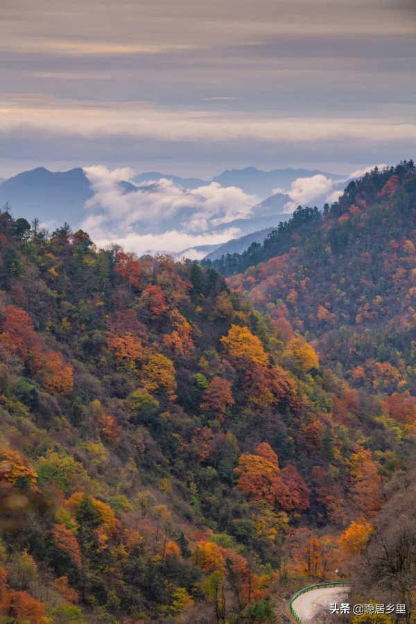 秦嶺紅葉房開售 | 一座座山間小屋，藏著秦嶺最美的秋