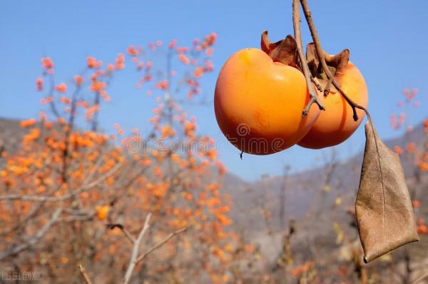 入秋溫差大 注意上呼吸道感染