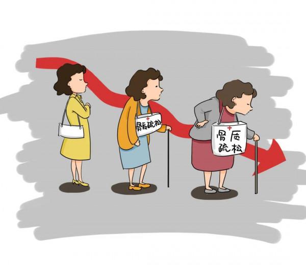 一文讀懂健康骨骼核心資訊 一文讀懂健康骨骼核心資訊