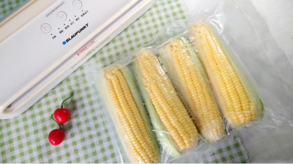 德國藍寶真空保鮮機，帶湯汁的也能抽，還能自清潔