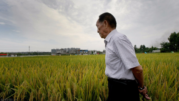 美國小夥認為中國落後破敗，來到中國一探究竟，結果不願再回美國