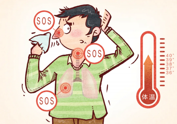 「漫繪科普」流感病毒入侵人體全過程 「漫繪科普」流感病毒入侵人體全過程