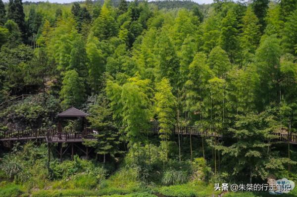 泰順最低調的一座廊橋,雖然始建年代不詳,但卻是國保級文物 泰順最低調的一座廊橋,雖然始建年代不詳,但卻是國保級文物