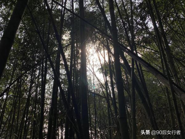 徒步成都大邑終南山，山高路遠無人煙，只有一座荒廢無人的道觀