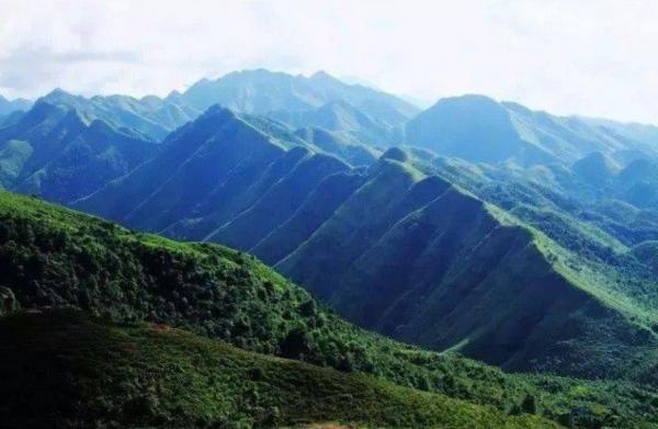 廣西女匪首韋秀英:盤踞十萬大山無惡不作,建國後落得什麼下場? 廣西女匪首韋秀英:盤踞十萬大山無惡不作,建國後落得什麼下場?