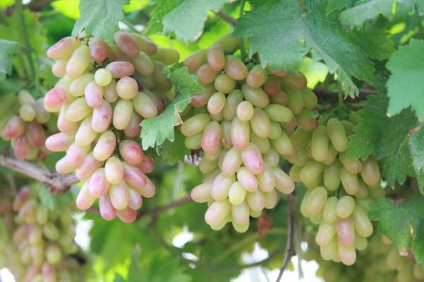 推薦8個涼爽的景點，暑假帶著孩子一起去旅行吧……