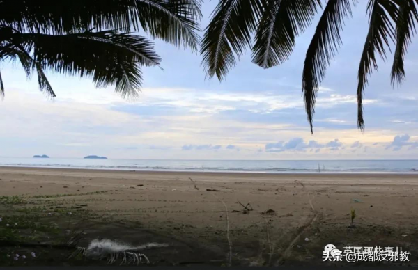 ";全球十大戀童癖";之一持續作惡14年,終於因疫情隔離被成功逮捕! ";全球十大戀童癖";之一持續作惡14年,終於因疫情隔離被成功逮捕!