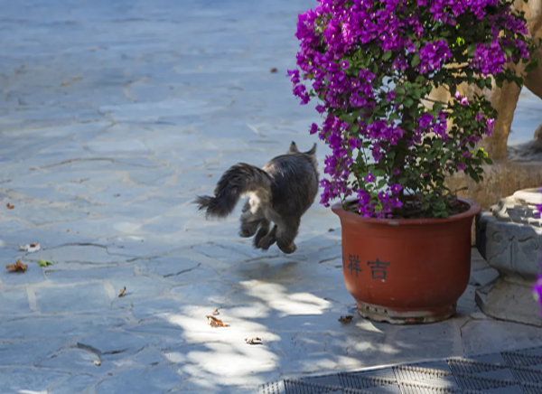 脖子扭扭屁股扭扭，久坐傷身讓我們來做運動