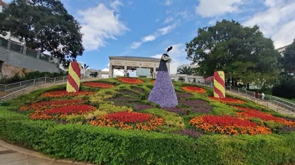 冬天的龍潭公園景色迷人