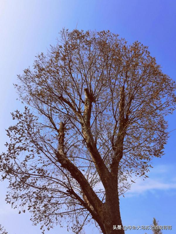 五百灘公園，每週一個公園，今天走進五百灘公園