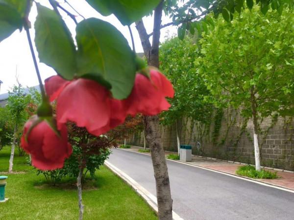 一場危機，收穫最多的是珍惜與感恩