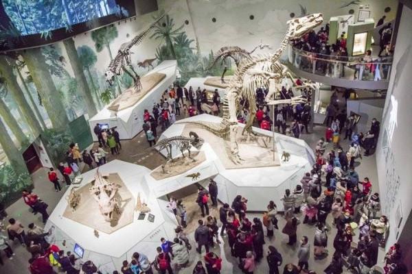 省博物館來了一群恐龍！大年初三首開館
