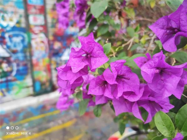 喜歡拍照雙11要買iPhone 13 Pro嗎？對比五款安卓旗艦我悟了