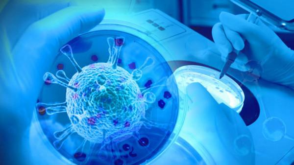 細胞治療，未來“健康班車”即將發車，請疾病困擾旅客做好準備