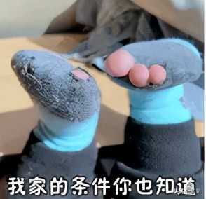 世界各國王室中，為什麼只有英國王室越來越醜？