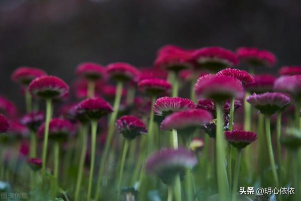 我們是沉穩深情的金牛座，請相信我們的努力終有回報
