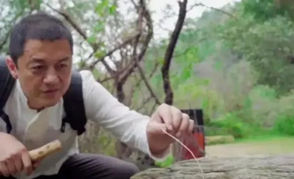 翻車了?李亞鵬裝文化人卻鬧笑話,網友:別不懂裝懂 翻車了?李亞鵬裝文化人卻鬧笑話,網友:別不懂裝懂