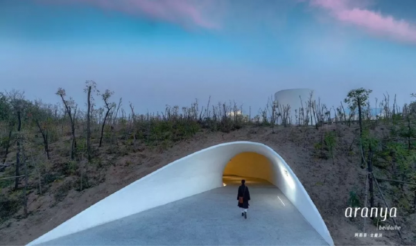 新挖到&quot;國內版小鎌倉&quot;！打卡火爆全網孤獨圖書館，人少景美趕緊去
