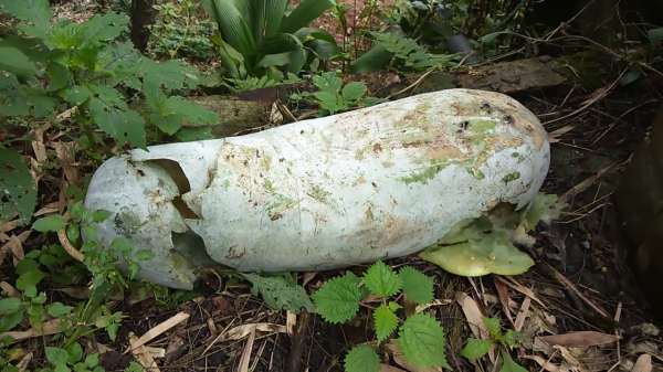 農民扔掉的冬瓜籽，磨成細粉衝紅糖水喝，喉嚨舒服不咳嗽