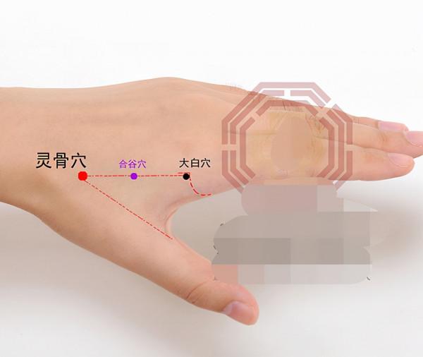 中醫針灸口腔、牙齒疾病處方1