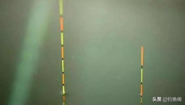 野釣鯽魚調漂：同樣是調4目，釣1目和釣5目有什麼區別？