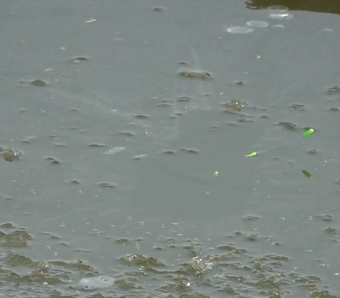 冰面凍不牢,照樣可以釣,七星漂釣冰洞證明傳統釣作釣範圍大於臺釣