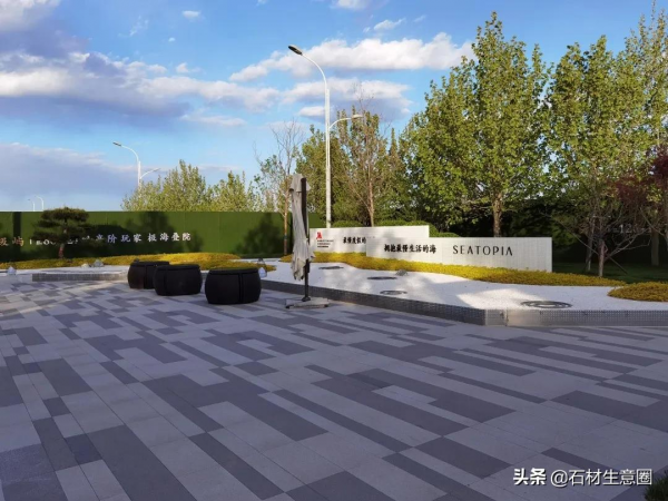 生態地鋪石欣賞