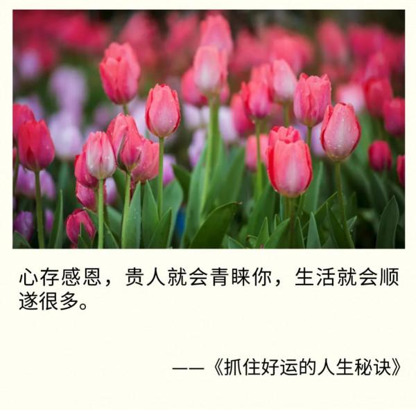 2022人生轉運指南