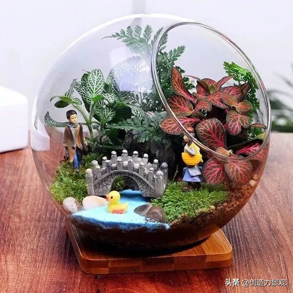把大自然裝進瓶子裡，種在瓶子裡的微景觀究竟有多美？