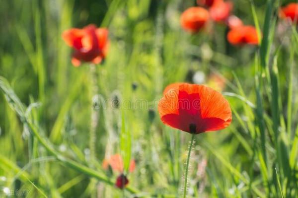 退休後，要保持活到老學到老的心態，不要太依賴別人