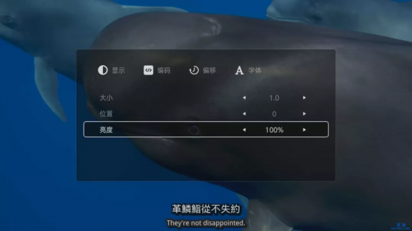 芝杜熱門新品NEO S的那些“黑科技”盤點