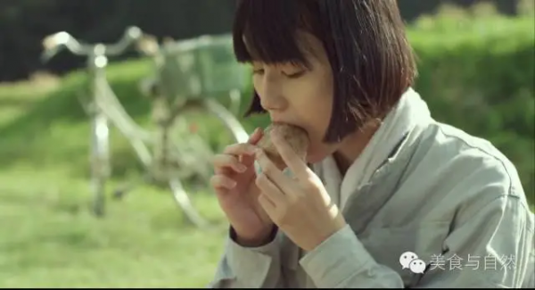 走進小森林之秋季篇