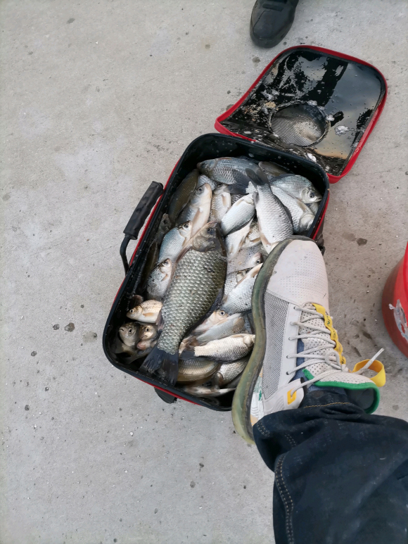 盤點冬天野釣好用的新增劑，便宜且效果好（用量及用法）