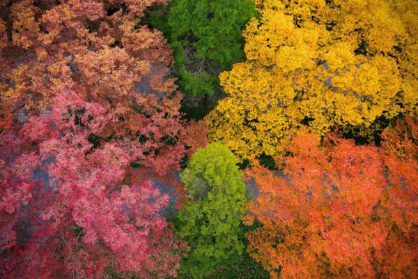 2022年，國內旅行時間表出爐，一鍵解鎖12個月的最佳旅行地