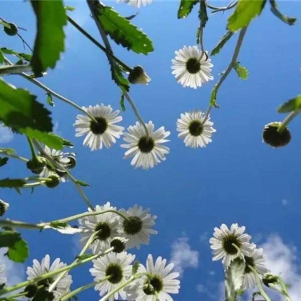 往事隨風，未來可期