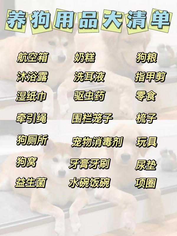 養狗注意事項！！新手養狗必知