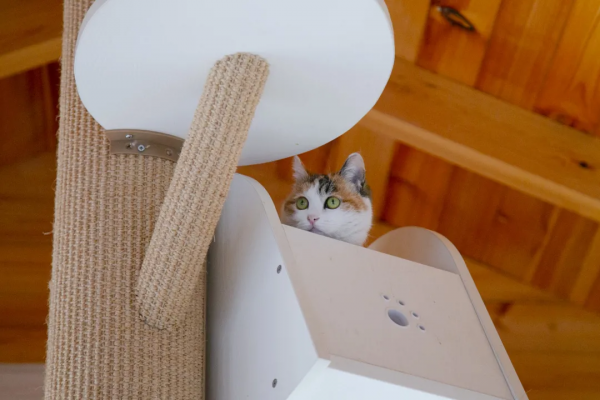 歲末大掃除，小米來監督