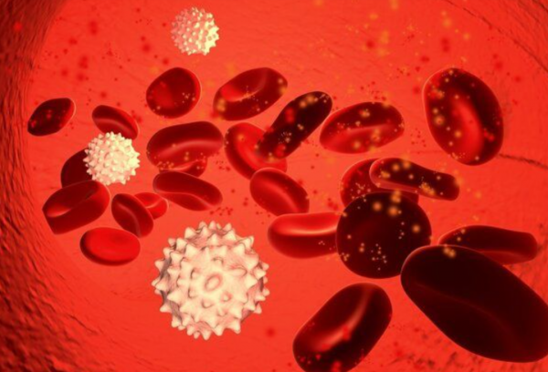 全球首個新冠口服藥物獲批!新冠病毒卻正在“吃掉”人類的大腦 全球首個新冠口服藥物獲批!新冠病毒卻正在“吃掉”人類的大腦