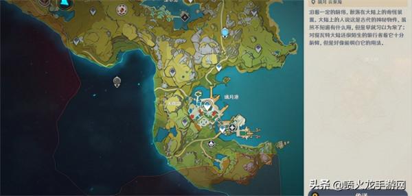 原神清心在哪裡買 購買商店位置